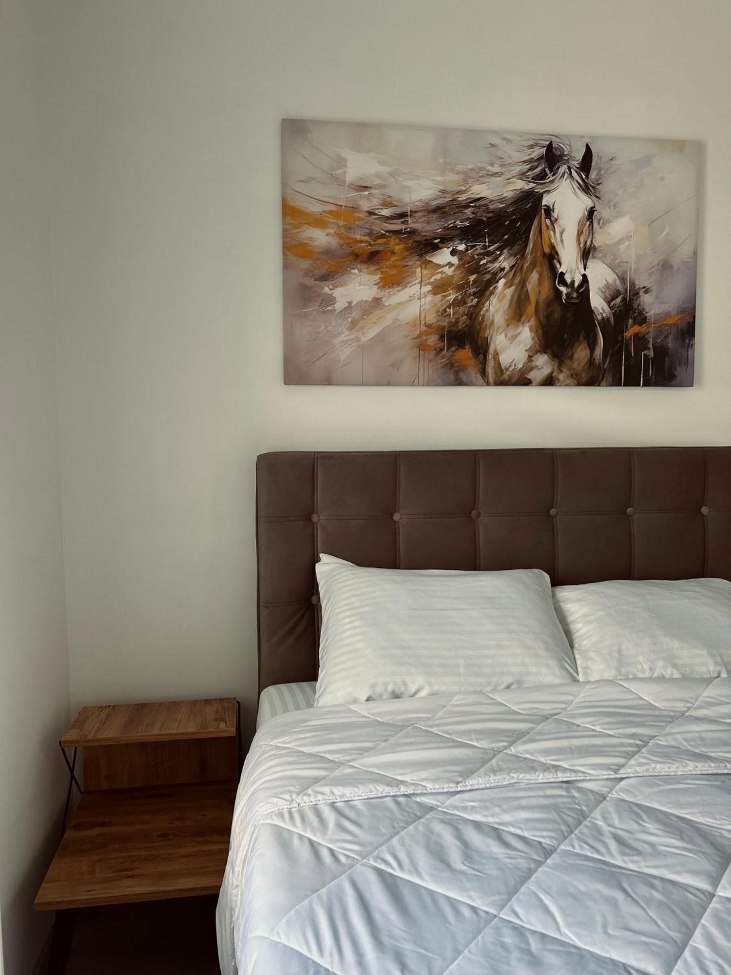 Greenhill Apartments Kumanovo Room photo